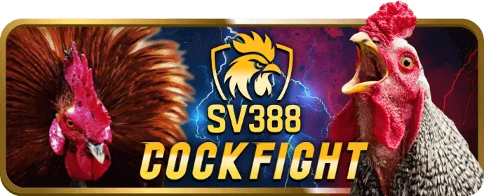 Cá cược bóng rổ tại okking29